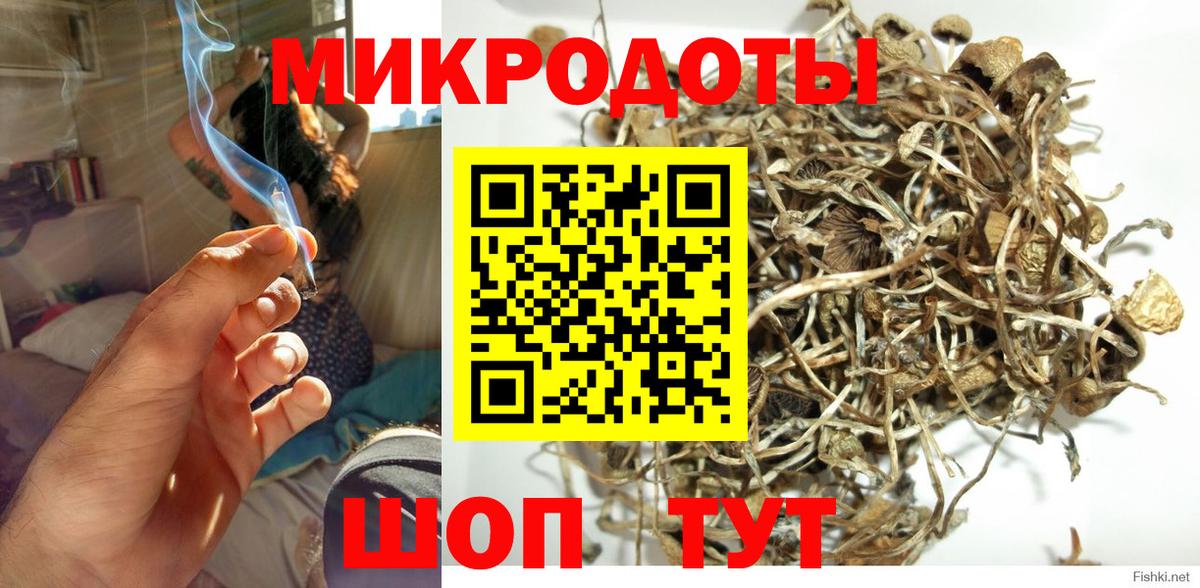 Псилоцибиновые грибы ЛСД Новый Уренгой