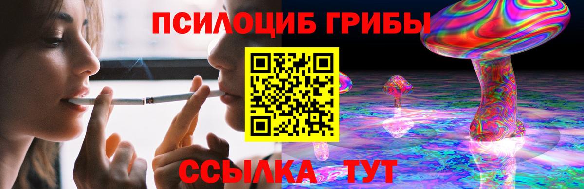Псилоцибиновые грибы прущие грибы  Вход с VPN  Галлюциногенные грибы прущие грибы  Новый Уренгой 